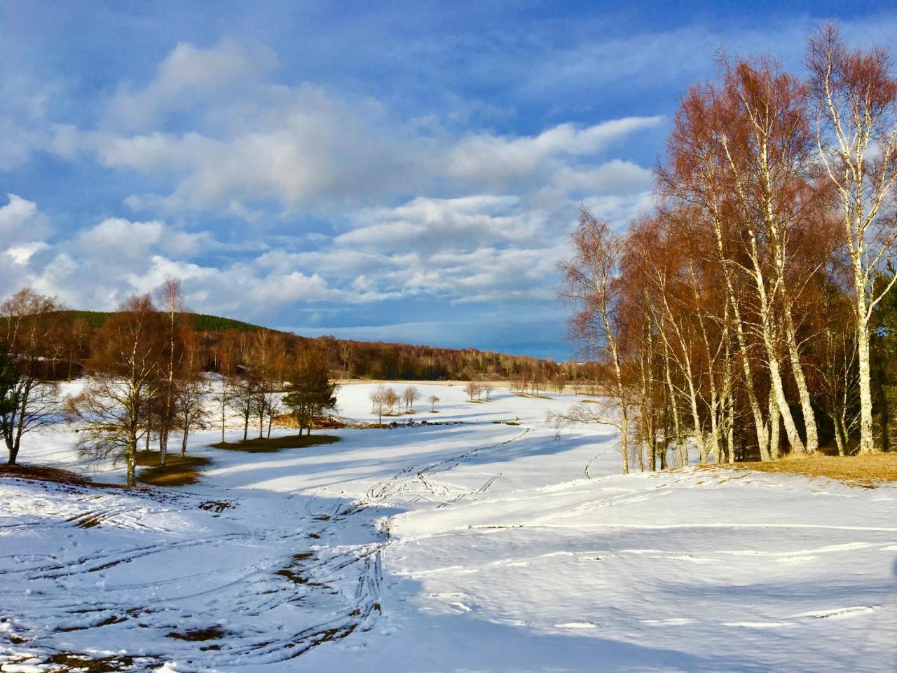 Отель Dalrachney 3*
